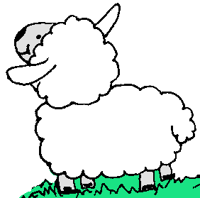 Single lamb - color